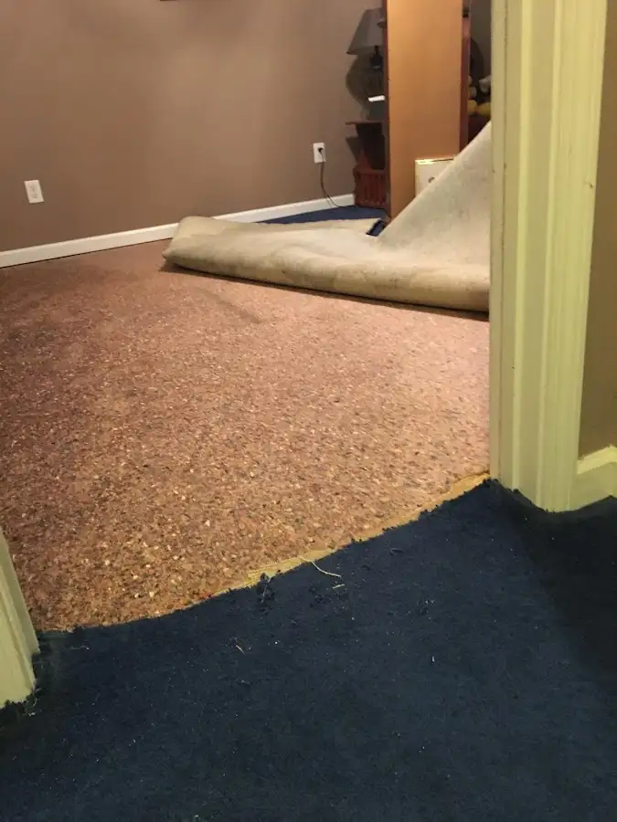 Carpet pad removal revealing water damage during Drying & Dehumidification in Gillette