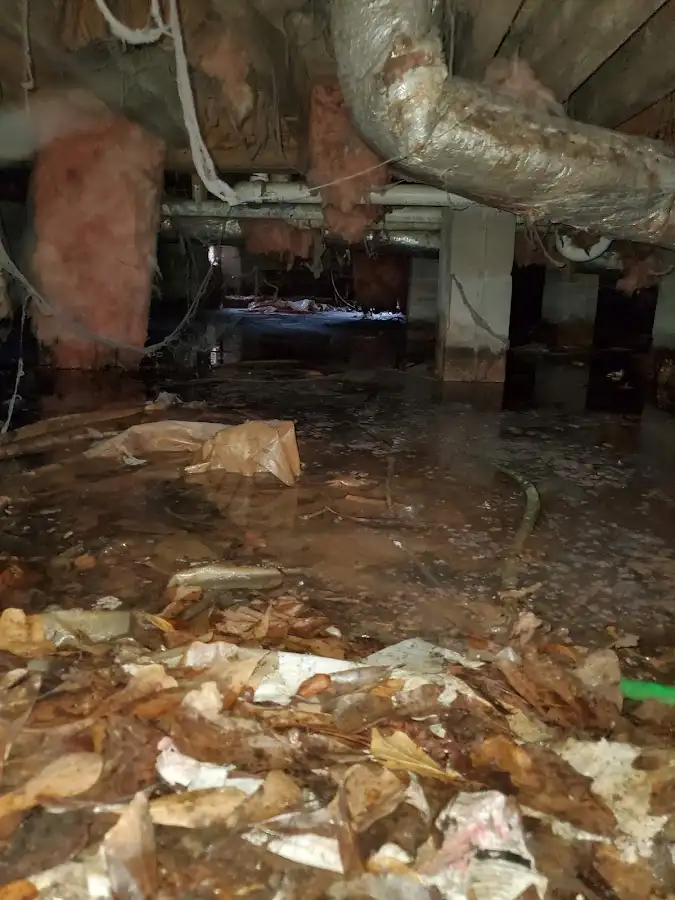 Crawl space flood assessment for Leak Detection & Repair in Gillette